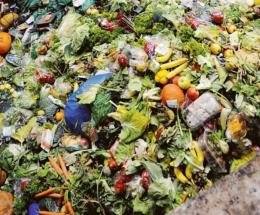 Cibo buttato, un doppio spreco