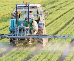 Stanno cancellando la nostra agricoltura