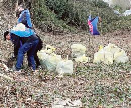 Dal bosco tagliato spunta un bidet