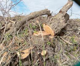 Oasi San Felice, i lavori in aula
