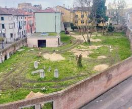 Cimitero ebraico, addio alberi
