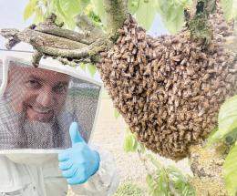 La piena del Po “sfratta” le api