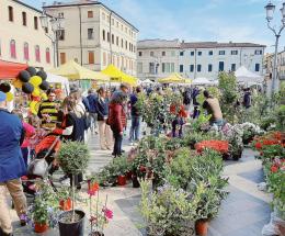 E’ la domenica di “Adria in fiore”