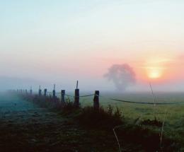 I campioni della nebbia siamo noi