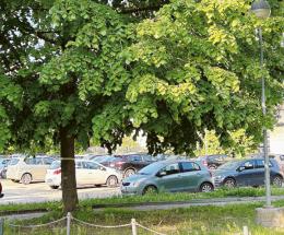 Spunta il parcheggiatore abusivo