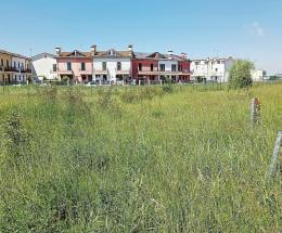 Allarme erba, insalubrità e zanzare