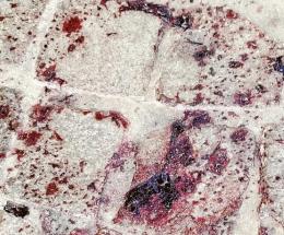 Botte e sangue in piazza Cavour