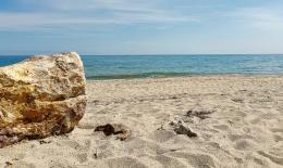 746 reati ambientali lungo il litorale veneto nel 2024