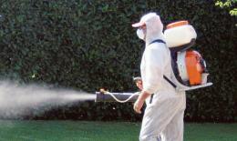 Caso di Chikungunya a Verona, ordinanza di Ferragosto