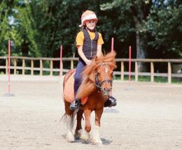 Domenica con febbre da... pony