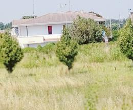Case rosse, “l’erba sparirà”