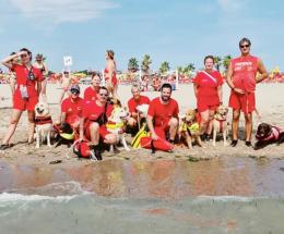 Ubriaco in mare, rischia di annegare: salvato dai bagnini