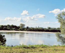 La pioggia salva l’agricoltura polesana 