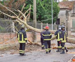 Grandine: agricoltura in ginocchio