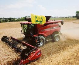 “Grano sottopagato ai produttori”