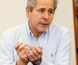 Il senatore Andrea Crisanti ci sarà 