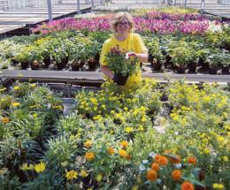 Fiori che curano. Arriva anche il ministro