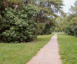 Parco Cibotto, nuovi vialetti