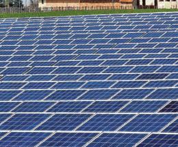 “No al fotovoltaico”: oltre 200 firme