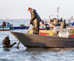 Cinque bandi per pesca e acquacoltura