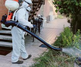 Stanotte disinfestazione: tenere le finestre chiuse