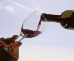 Così il vino entra in biblioteca