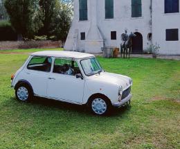 E’ riapparsa la Mini di Cibotto
