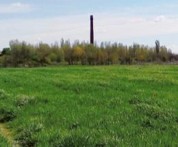 Zuccherificio, comitati in campo