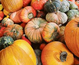 Riscoprire i “Sapori d’autunno”