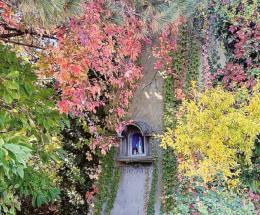 Si è rinnovata la solennità della Vergine 