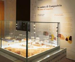 Ambra e storia tra Estonia e Polesine