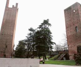 Il Mistero della nascita di Rovigo