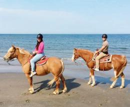 Via libera ai cavalli in spiaggia
