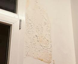 C’è la muffa nel reparto 