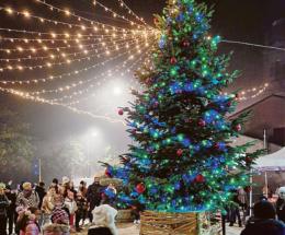Grande festa per l’albero in piazza