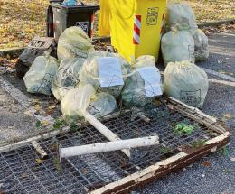 Tre quintali di rifiuti in 2 ore I sacchi nascosti tra gli alberi