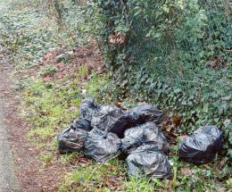 Altri 12 sacchi neri abbandonati