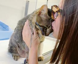 Gatto ucciso, &ldquo;pena troppo lieve&rdquo;