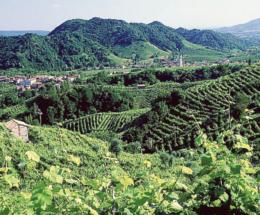 Il Crab prepara una visita nel Trevigiano 