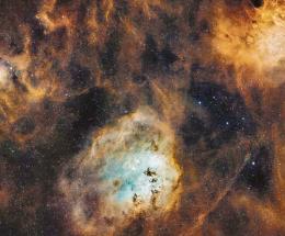 Dal giardino fotografa le stelle