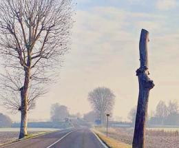 &ldquo;Tagliati alberi sotto vincolo&rdquo;