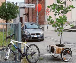 Befane in bici piantano gli alberi