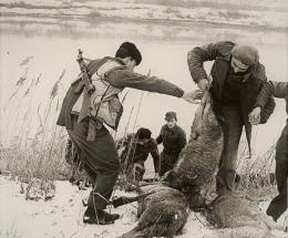 Partigiani: tra passato e futuro