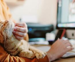 In partenza col corso!