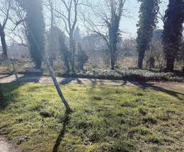 Terreno in vendita per il rilancio