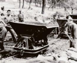 Domani il libro in edicola