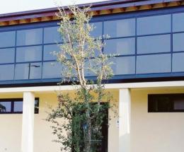 Due appuntamenti per ricordare l&rsquo;orrore