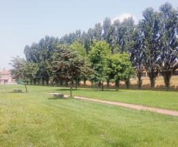 La citt&agrave; torna a colorarsi di verde