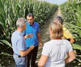 Garanzie, soldi in arrivo alle aziende