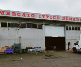 &ldquo;Il bracconaggio colpisce duro&rdquo;